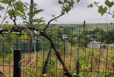 Casă cu 2 camere cu Teren 1800 Mp în Lunca - 3