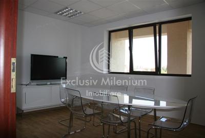 Spatiu Birou / Birouri Domenii - Grivita -1Mai Spatiu Birou / Birouri Domenii - Grivita -1Mai - 2