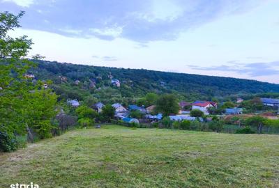 Teren de 2000 mp, în Bucovăț - 8