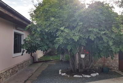 Vanzare 3 case moderne + 3 anexe si 2000 mp teren gradina, pomi in Tuzla la mare - 5