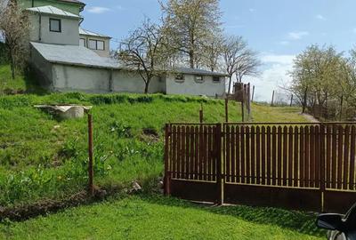 Casa la tara - 2