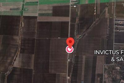 Spațiu comercial, în Costi - 4