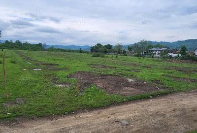 Teren de 7500 mp, în Voila - 6