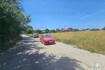 Teren 5000mp la asfalt/dubla deschidere in Mihai Voda - 3