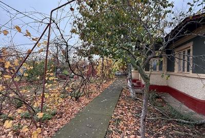 Casă cu 4 camere în Plevna - 1