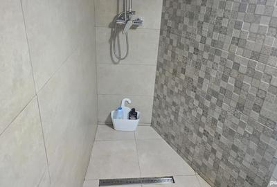 Apartament cu 2 camere decomandat în Viile Noi - 6