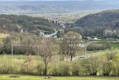 Casă cu 7 camere cu Teren 3500 Mp în Colibița - 4