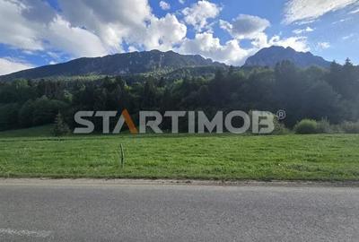 Teren intravilan Zarnesti Plaiul Foii - 20