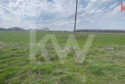 Teren Construcții intravilan de 1000 mp, în Cârcea - 2