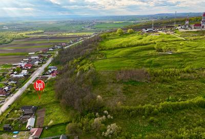 Teren Construcții intravilan de 10000 mp, în Roșiori - 3