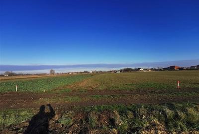 Teren intravilan in Bors cu front la 2 strazi. - 5