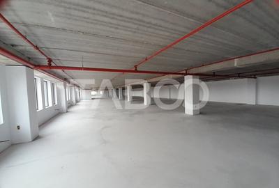 Spatiu birouri 1100 mp clima locuri parcare curent trifazic Turnisor - 2