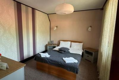 Pensiune, 3500 mp teren. Preț 650.000 Euro - 13