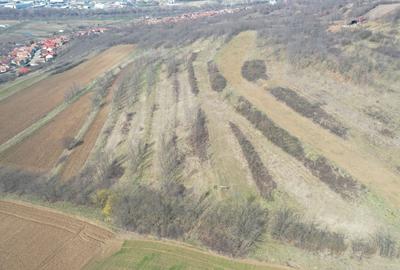 Teren agricol de 5500 mp, în Ciugud - 2