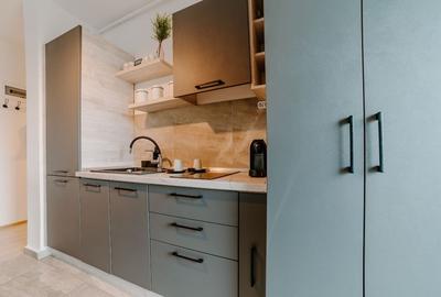 Apartament cu 2 camere semidecomandat, mobilat în Griviței - 7