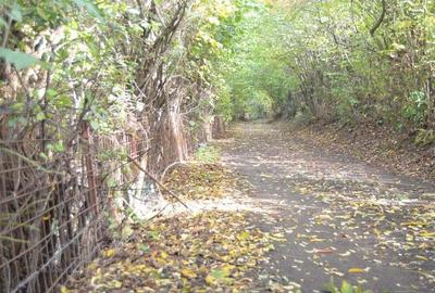 Teren intravilan Brasov-Schei - 5