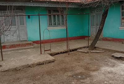 Casă în Blăgești - 4