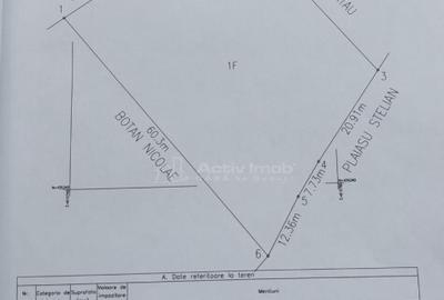 Teren extravilan 10000 mp, com Panatau - 6