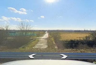 Teren de 27500 mp, în Giroc - 4
