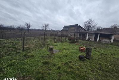 Casă cu 2 camere cu Teren 2685 Mp în Curtuișeni - 2