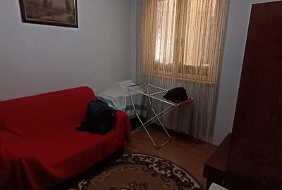 Vila pe strada Vasile Lupu - Ultracentral - 14