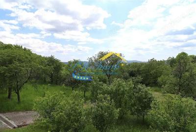 Casă cu Teren 7068 Mp în Breaza - 9