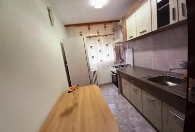Apartament cu 2 camere nedecomandat în Peneș Curcanul - 15