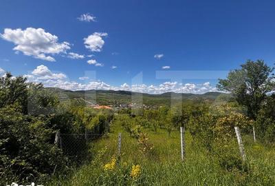 Teren de 2500 mp, în Șieu - 2