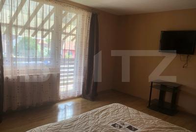 De vanzare , casa cu teren intravilan 3000mp , zona Ciuperceni - 11