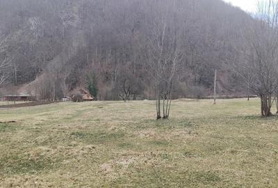 Teren de 1795 mp, în Remeți - 5