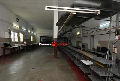 Hala de inchiriat in Marghita - 27