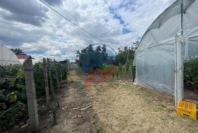 Casă cu 4 camere cu Teren 3500 Mp în Central - 6