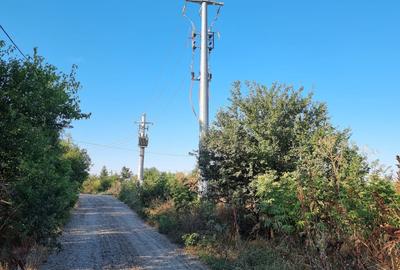 Teren agricol extravilan de 5800 mp, în Valter Mărăcineanu