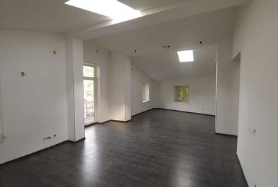 Spațiu comercial, 300 mp în Dacia
