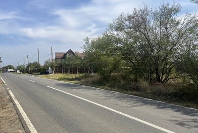 Teren în Snagov