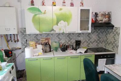 Casă cu 3 camere în Sânandrei