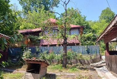 Casă cu Teren 3200 Mp în Grecești - 3