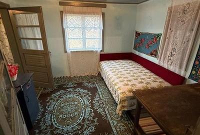 CASA DE VANZARE DUMITRESTI - 6