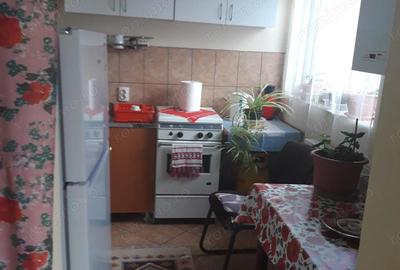 Garsonieră nedecomandată în Ciarda Roșie - 8