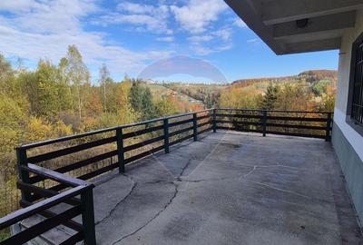 Oferta! Pensiune cu 7 camere de vanzare/ Poiana Marului - 24