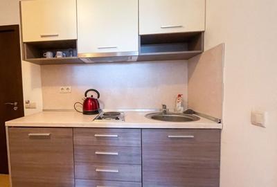 Se inchiriaza apartament in zona 13 Decembrie - 3