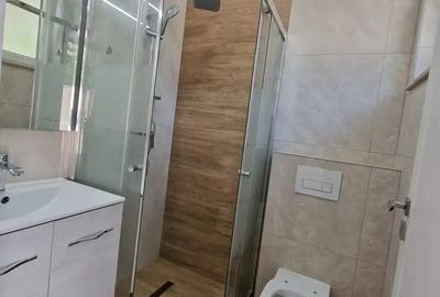 P+M, zona Bogdanesti-Circumvalatiunii. - 3