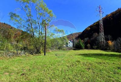 Teren intravilan 1.117 mp cu vedere spectaculoasa spre Crucea Caraiman - 5