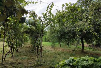 Casă cu 5 camere în Ineu - 6
