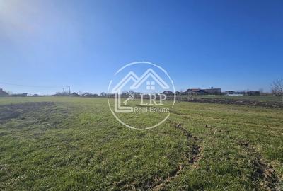 Teren Construcții intravilan de 646 mp, în Dascălu - 7