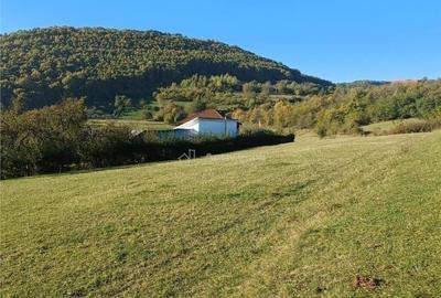 Teren de 2455 mp, în Rășinari - 1