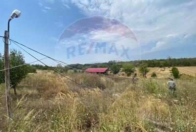 Teren cu hala, Bucsani, Crevedia / DN 61 (A1, A0) 40 Km ... - 16