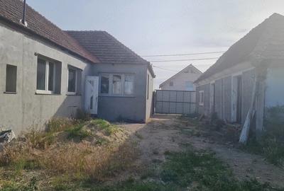 Casă cu 1 camere cu Teren 1500 Mp în Central - 3