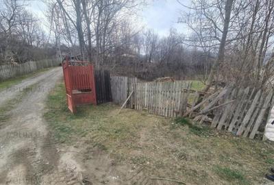 Teren de vanzare in Comarnic - 3