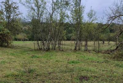 Casă cu Teren 20000 Mp în Vârfurile - 3